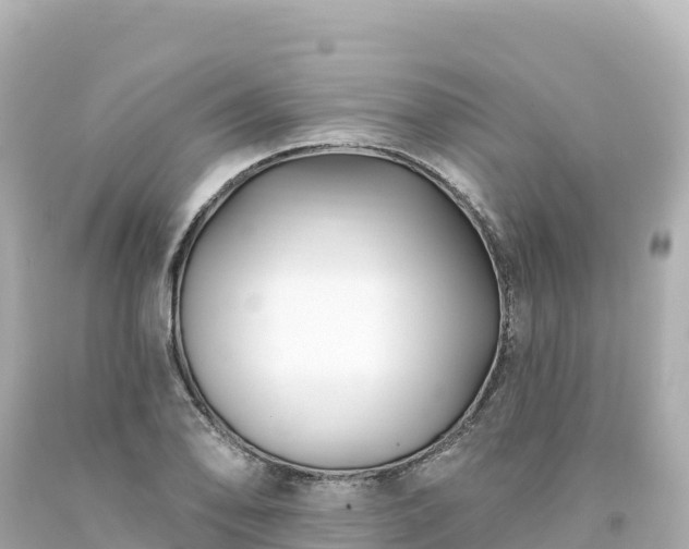 X0000094231078200711021157