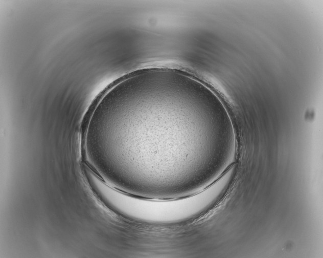 X0000094231079200711021157