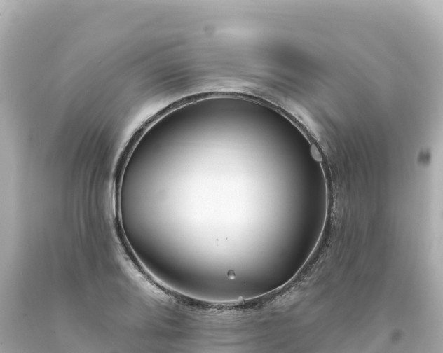 X0000094231080200711021157