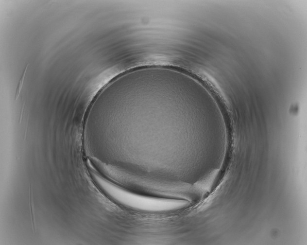 X0000094231081200711021157