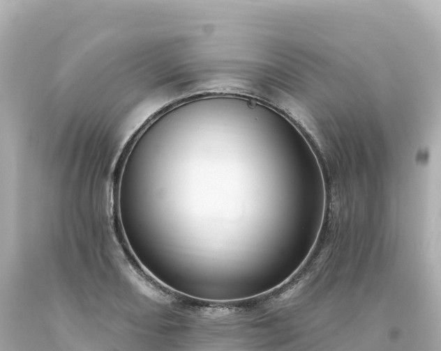 X0000094231082200711021157