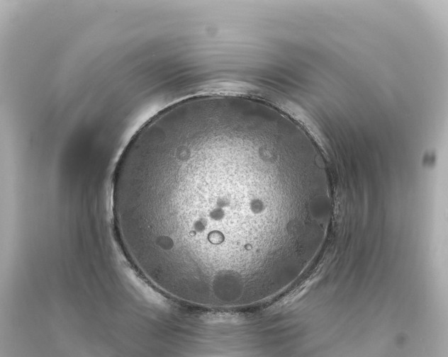 X0000094231083200711021157