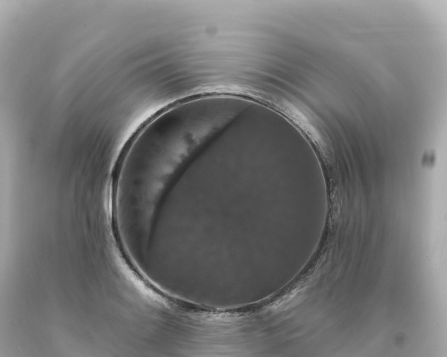 X0000094231084200711021157