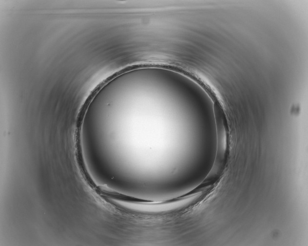 X0000094231085200711021157