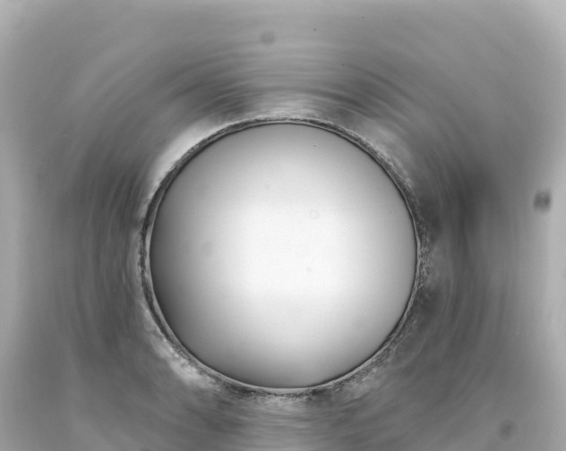 X0000094231086200711021157