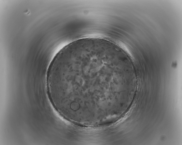 X0000094231087200711021157