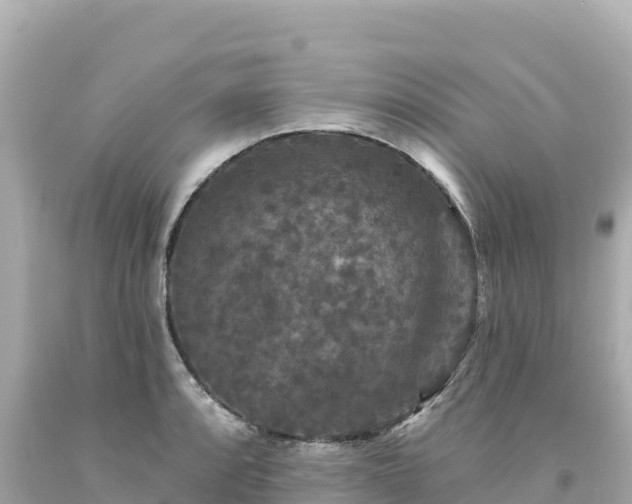 X0000094231088200711021157