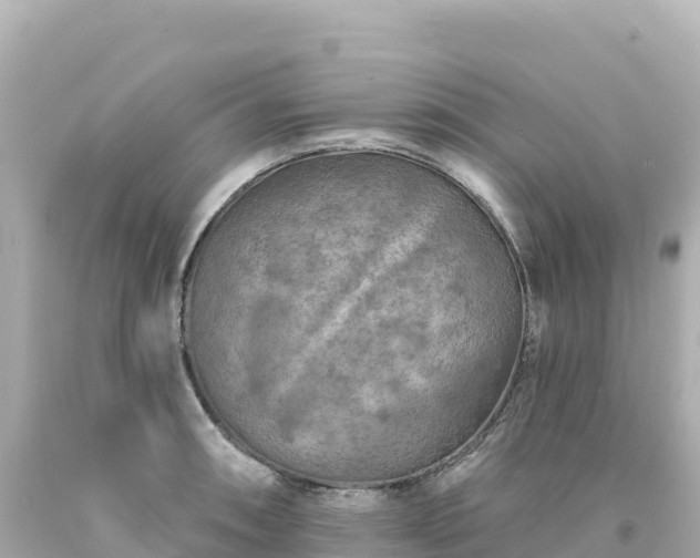 X0000094231090200711021157