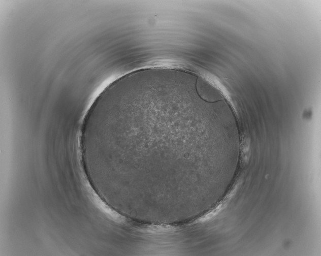 X0000094231091200711021157