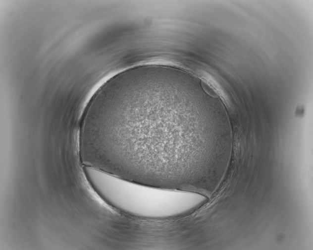 X0000094231092200711021157