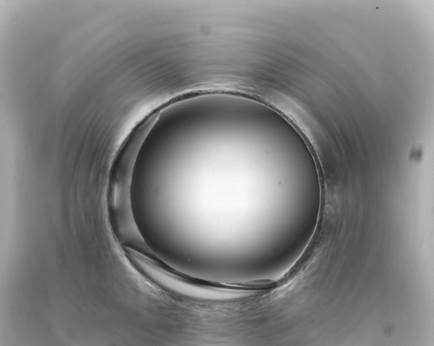 X0000094231093200711021157