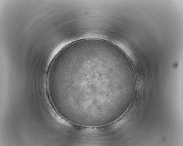 X0000094231094200711021157