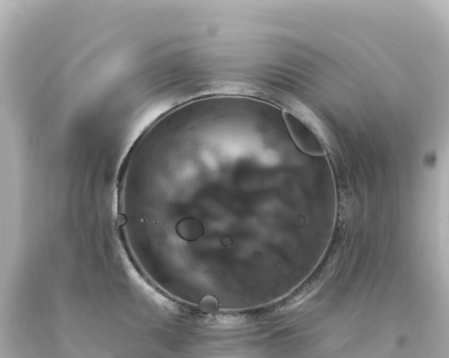 X0000094231095200711021157