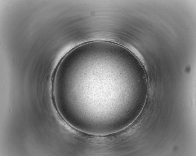 X0000094231096200711021157