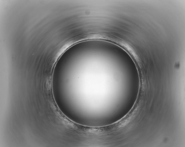 X0000094231097200711021157