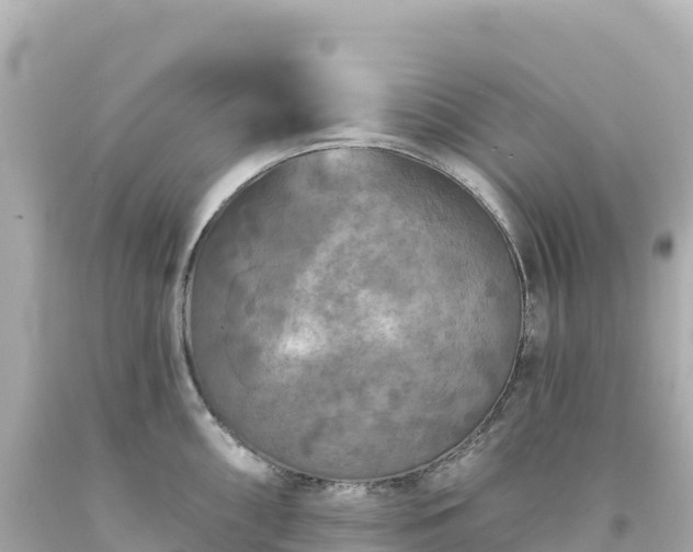 X0000094231098200711021157