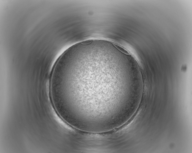 X0000094231100200711021157