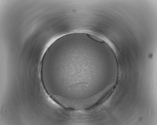 X0000094231102200711021157