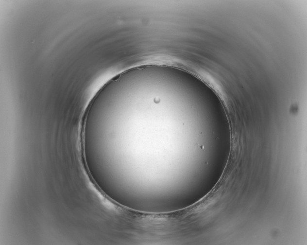 X0000094231103200711021157