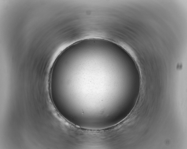 X0000094231104200711021157