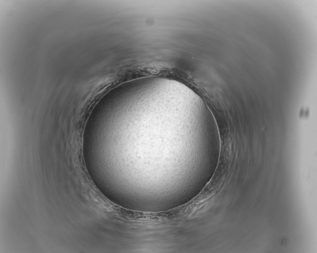 X0000094231105200711021156