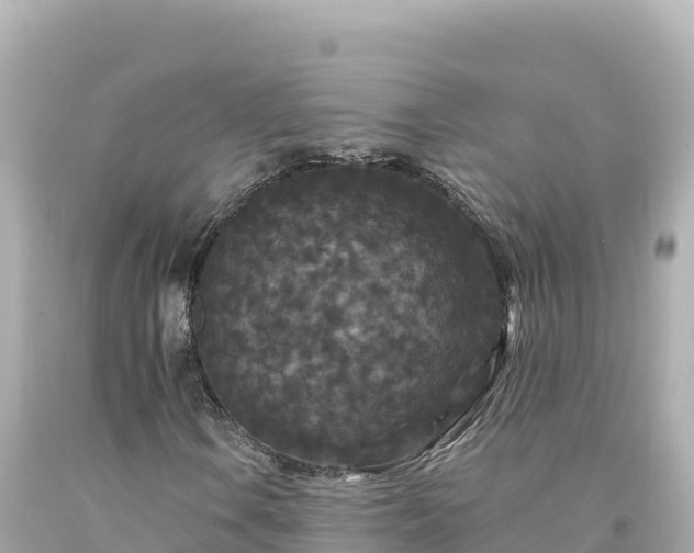 X0000094231106200711021156