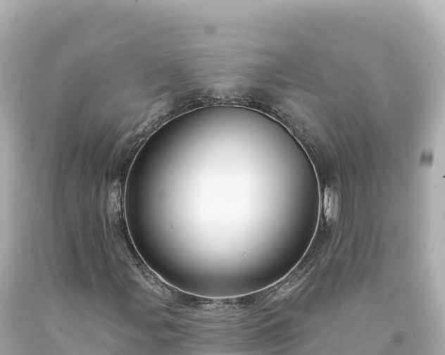 X0000094231107200711021156