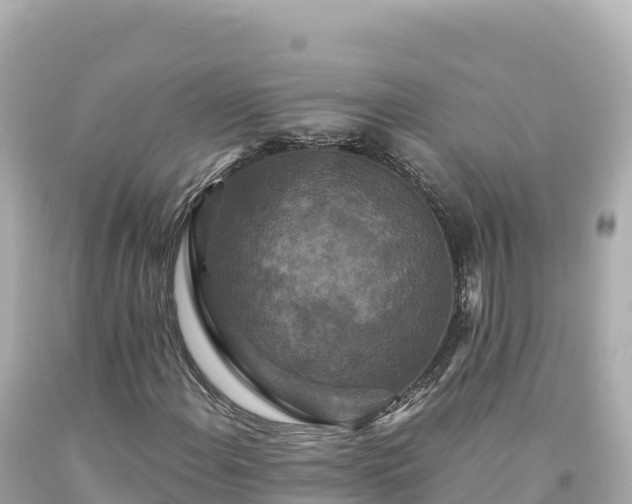 X0000094231108200711021156