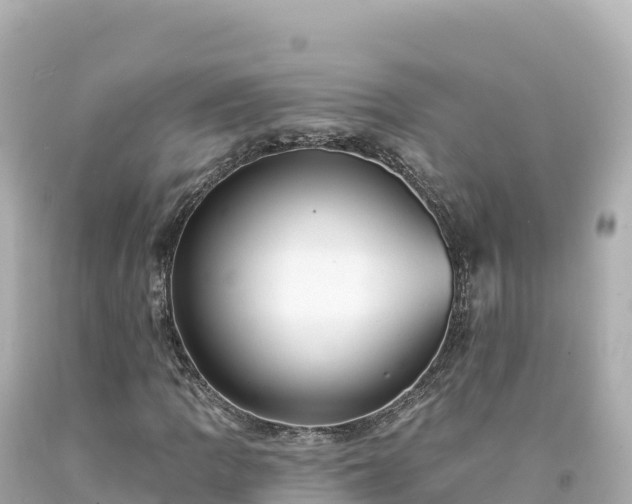 X0000094231109200711021156