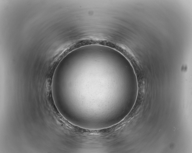 X0000094231110200711021156