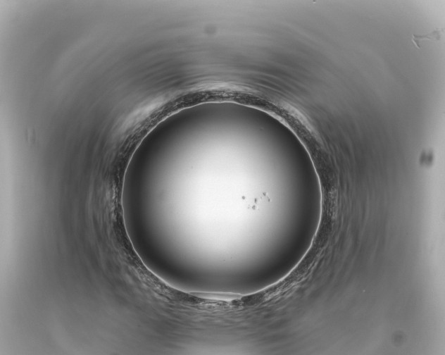 X0000094231111200711021156