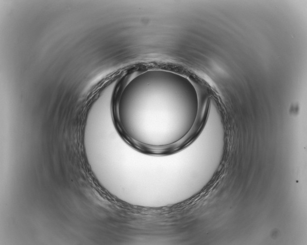 X0000094231112200711021156