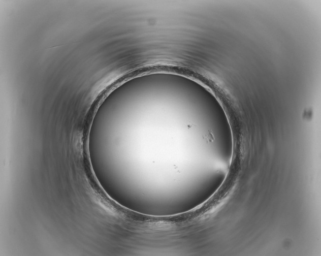 X0000094231113200711021156