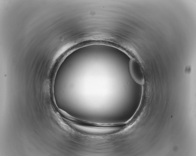 X0000094231114200711021156