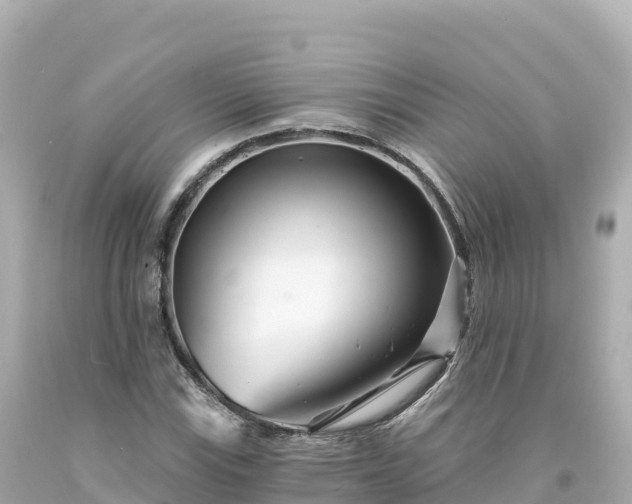 X0000094231115200711021156