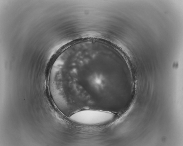 X0000094231117200711021156