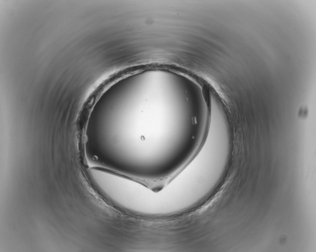 X0000094231118200711021156