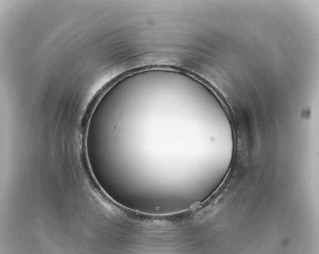 X0000094231119200711021156