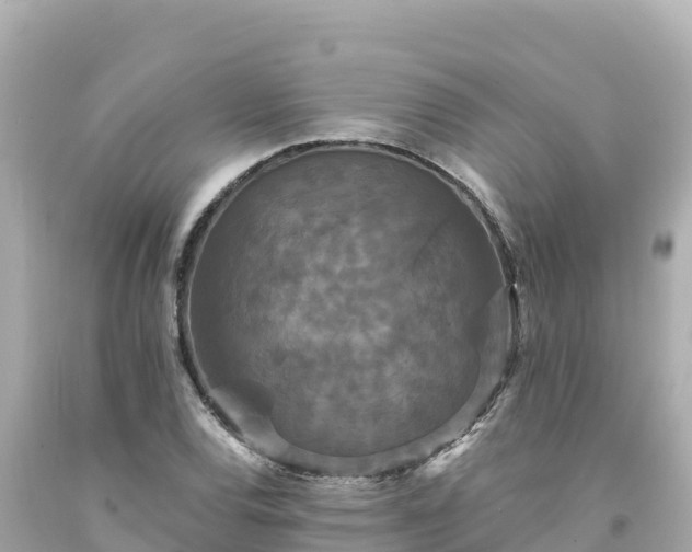 X0000094231120200711021156