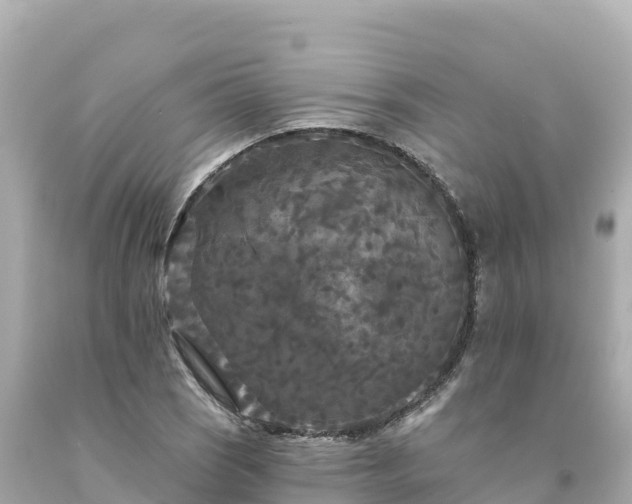 X0000094231121200711021156