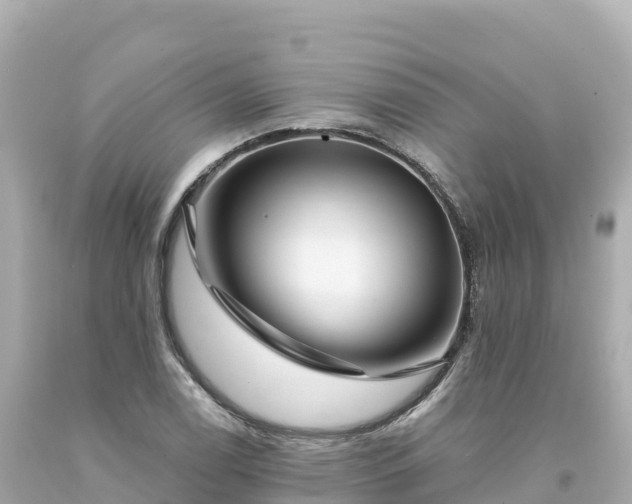 X0000094231122200711021156