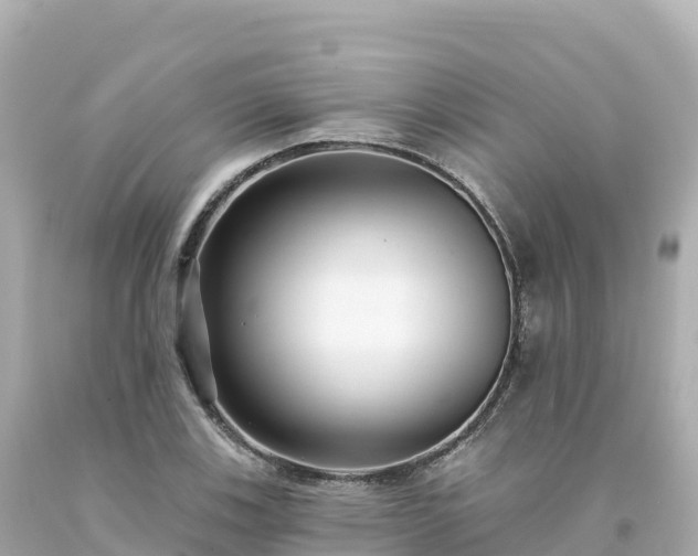 X0000094231123200711021156