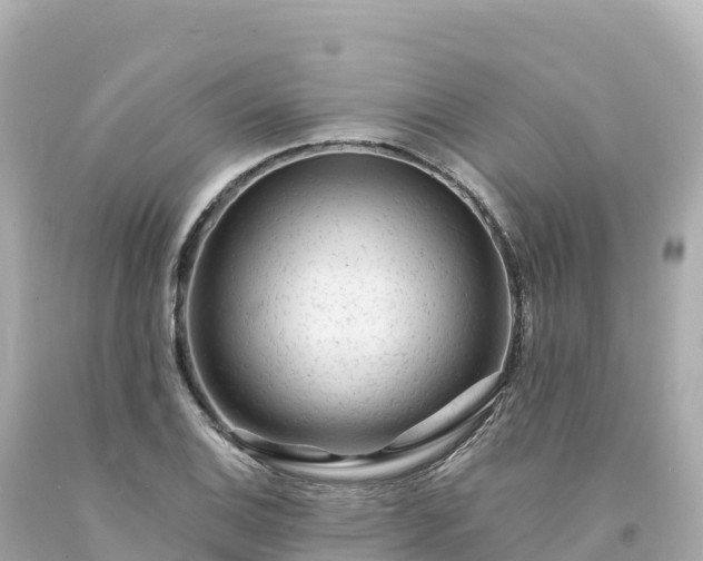 X0000094231124200711021156