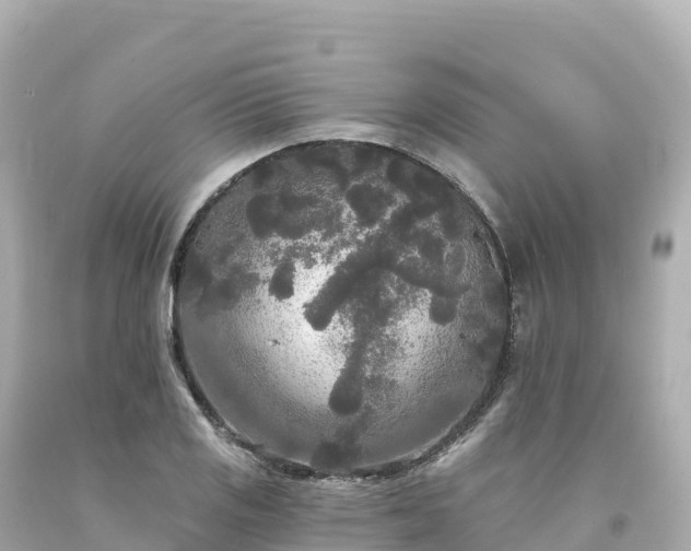 X0000094231125200711021156