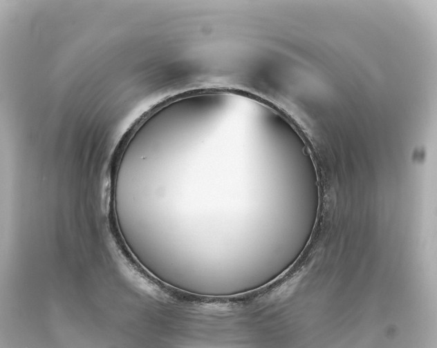 X0000094231126200711021156