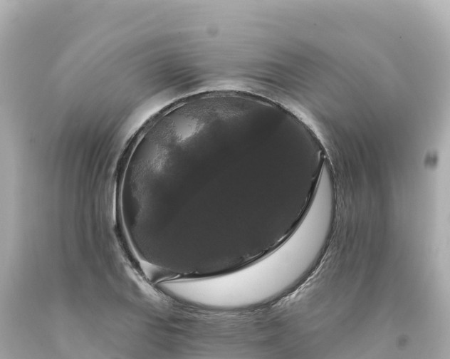 X0000094231127200711021156