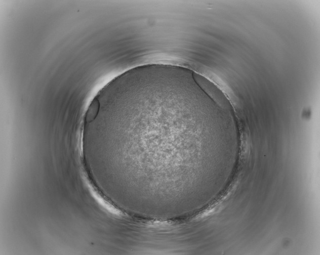 X0000094231128200711021156