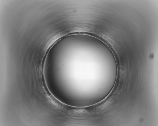 X0000094231129200711021156