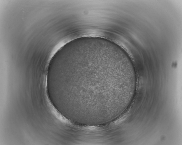 X0000094231130200711021156