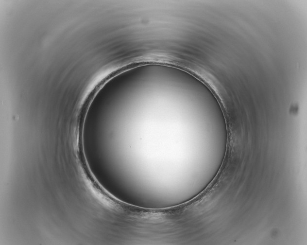 X0000094231131200711021156